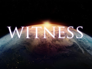 ppt11-earth-witness_08-15